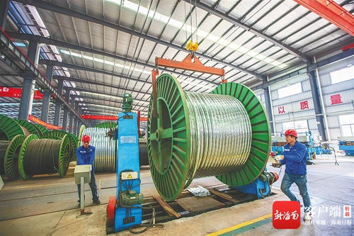 哪来的活力？专精特新进阶引领新赛道，海南工程机械企业实现创新突破